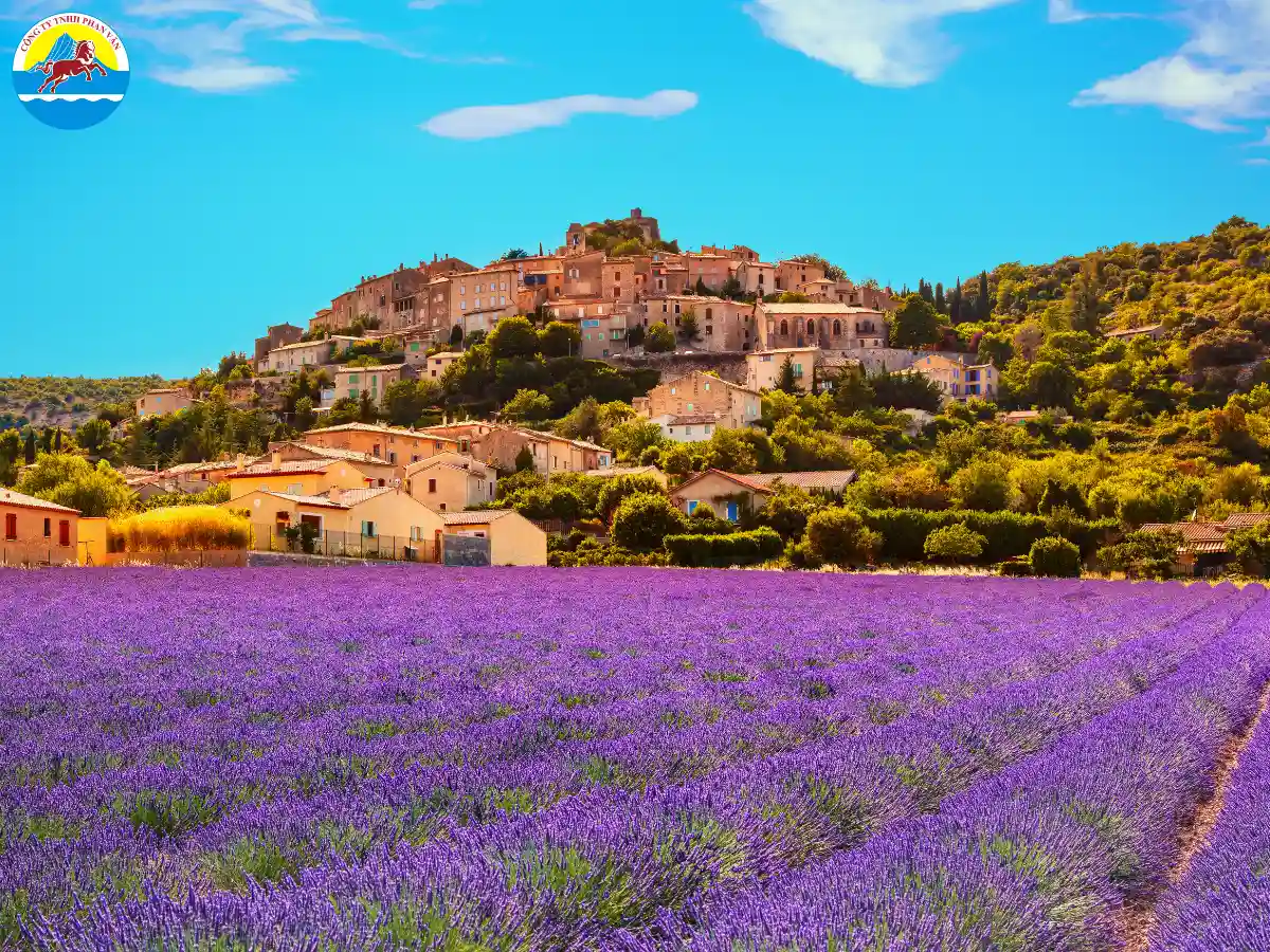 Provence thuộc khu vực hành chính Provence-Alpes-Côte d'Azur