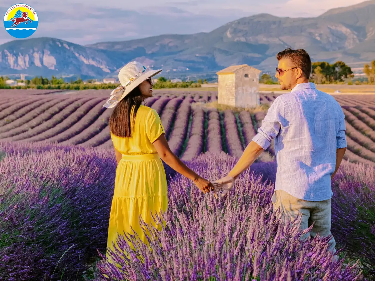 Liên hệ &nbsp;Phan Văn Travel để có giá ưu đãi nhất cho chuyến du lịch Provence