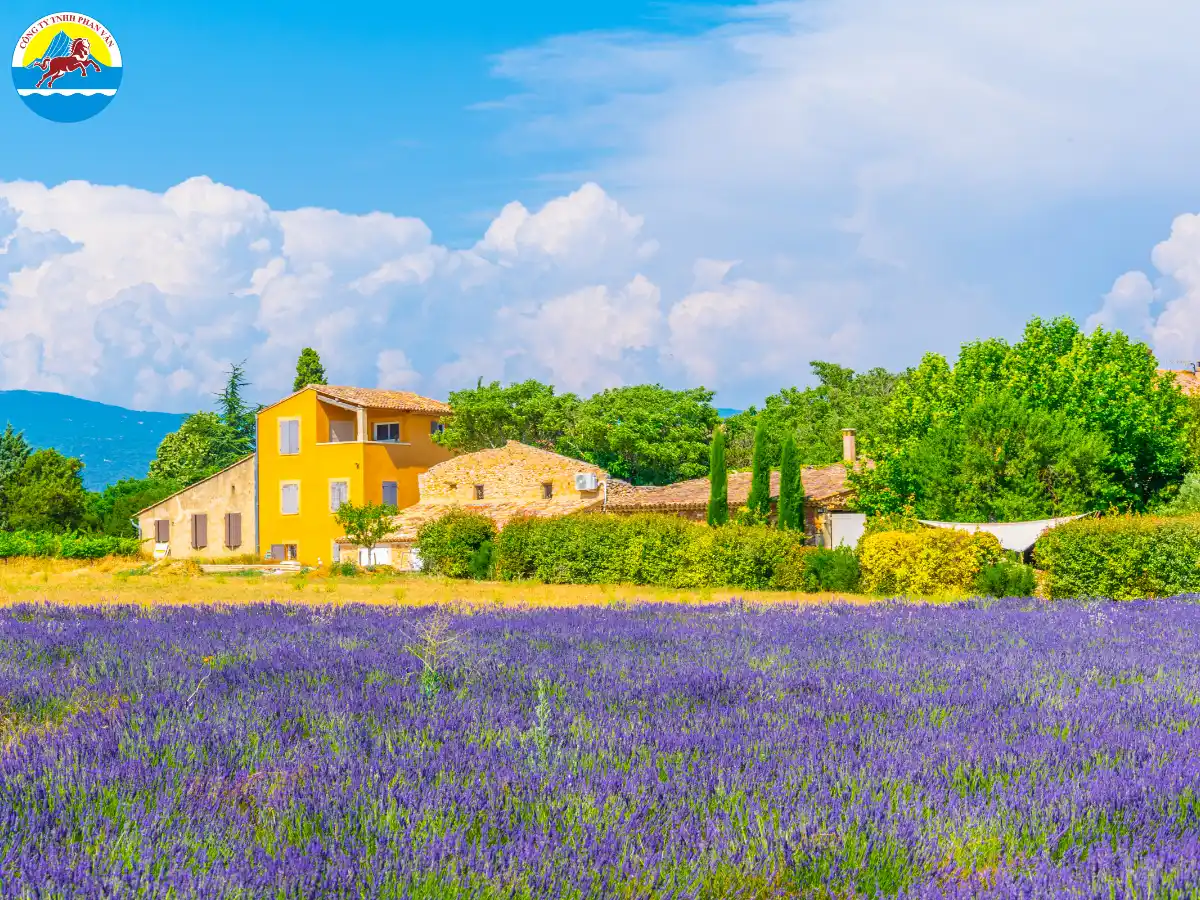 Khí hậu Địa Trung Hải định hình nên nhịp sống và vẻ đẹp của Provence quanh năm