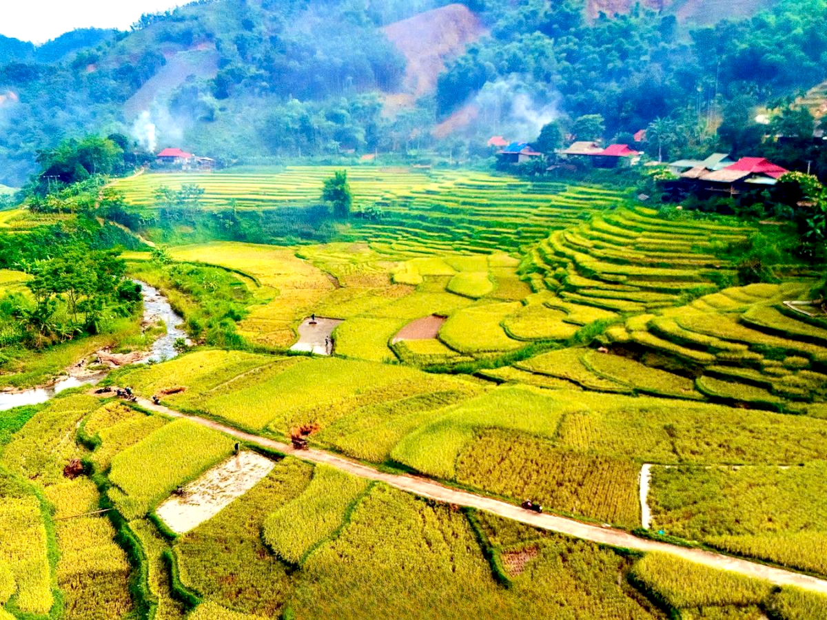 du-lich-pu-luong-mua-lua-chin-phan-van-travel-2