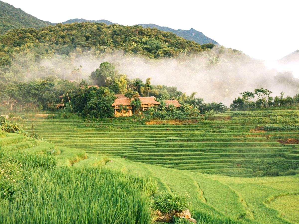 du-lich-pu-luong-mua-lua-chin-phan-van-travel-3