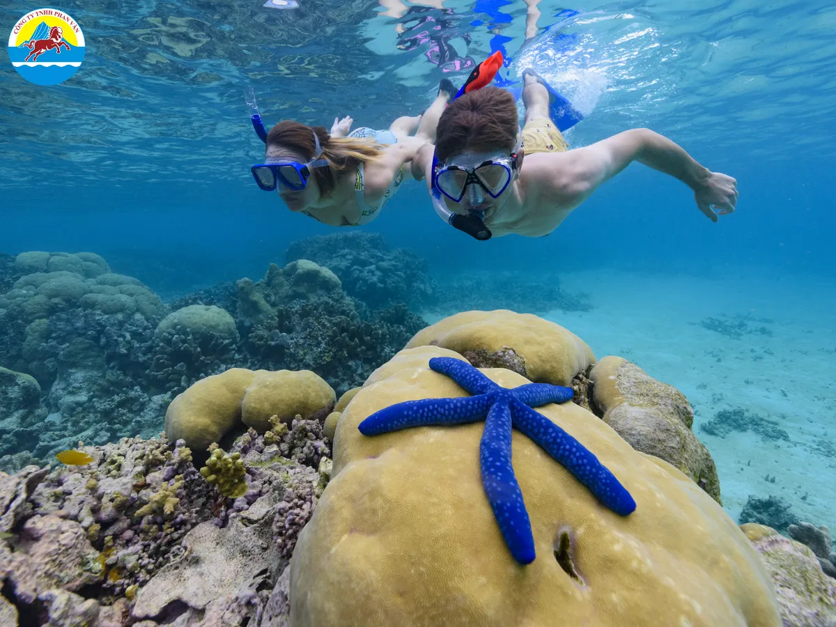 du lịch quần đảo Solomon