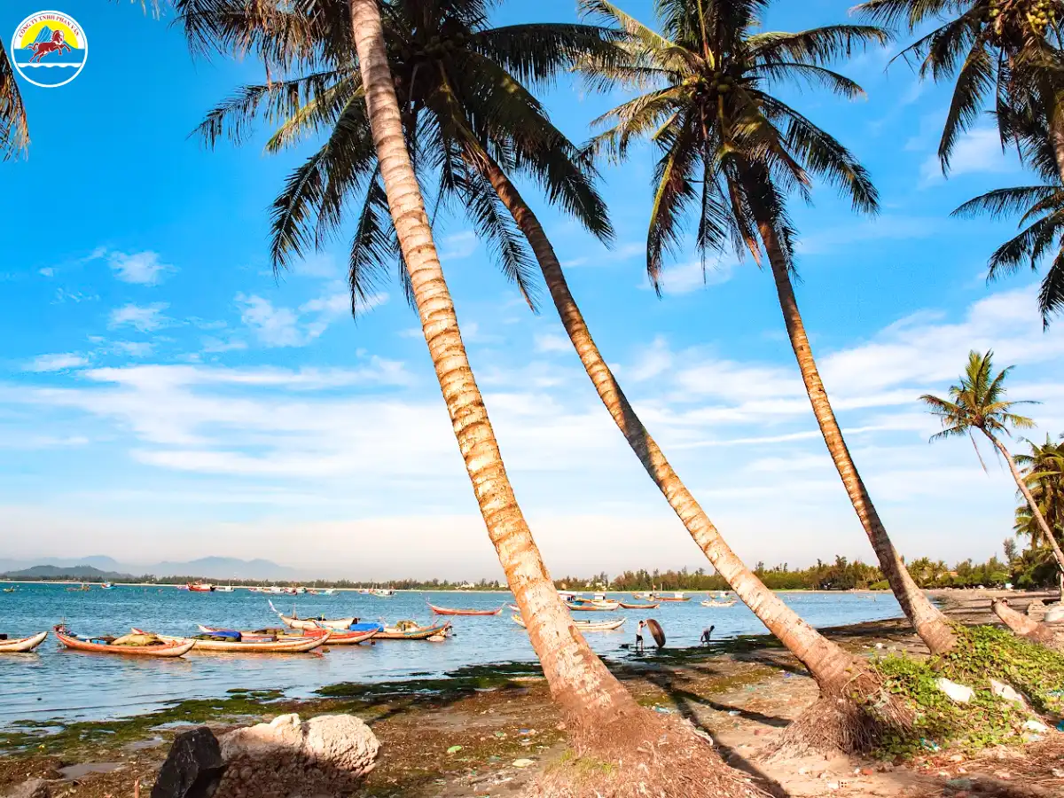 kinh nghiệm du lịch quảng ngãi tự túc