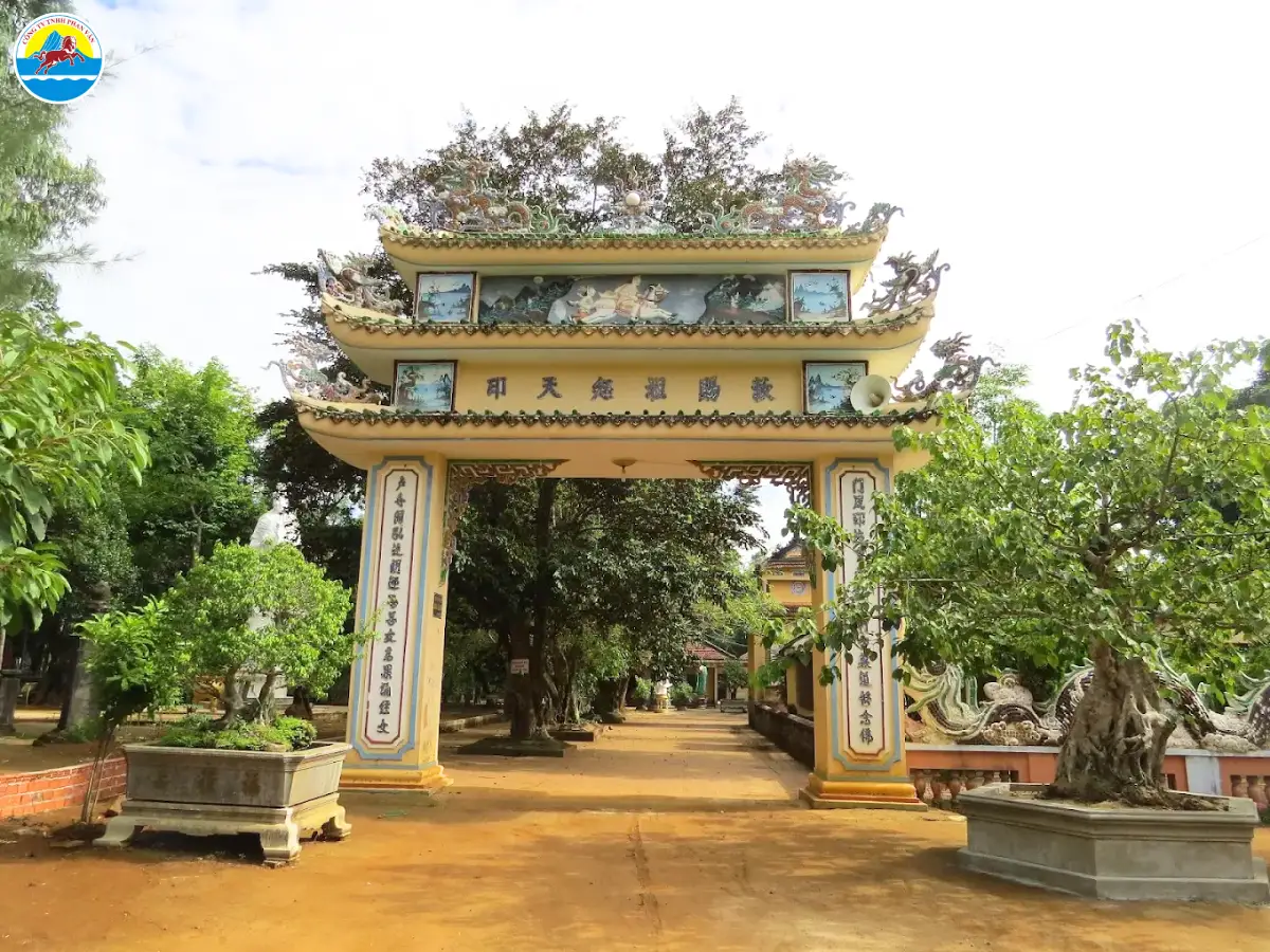 kinh nghiệm du lịch quảng ngãi tự túc