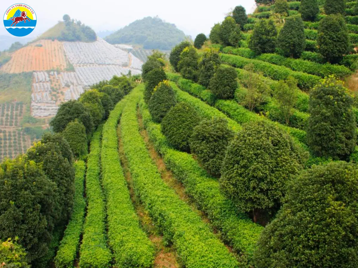 Núi Yao