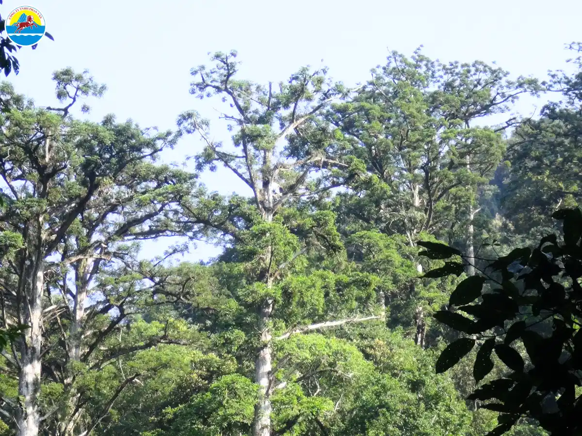 du lịch quế phong nghệ an​