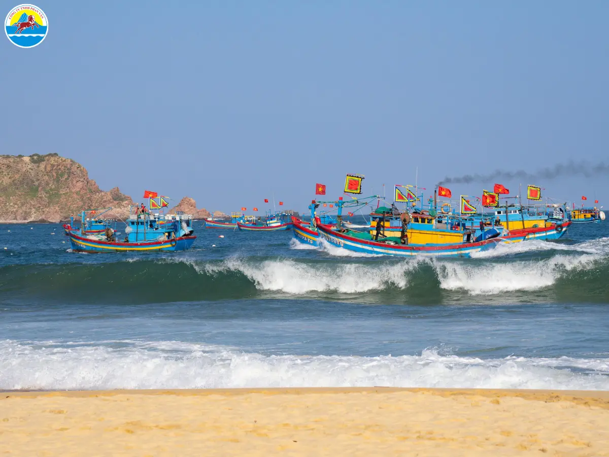 du lịch quy nhơn dịp tết