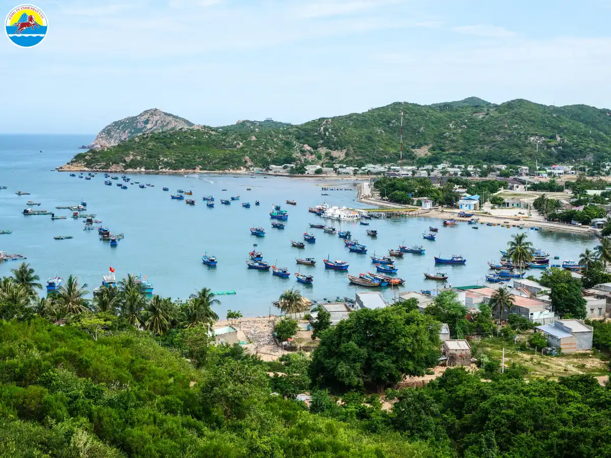 đi quy nhơn tháng 3​