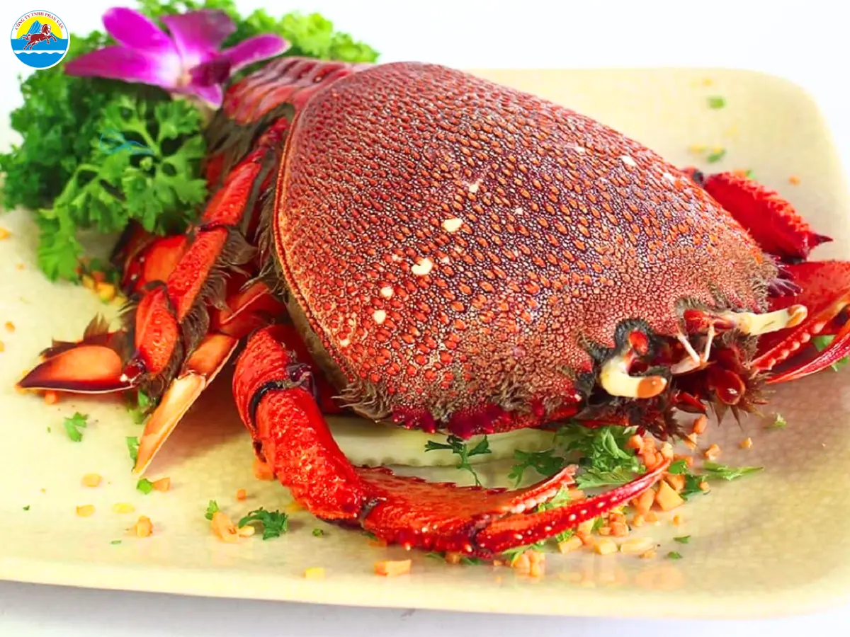 có nên đi quy nhơn vào tháng 10 không