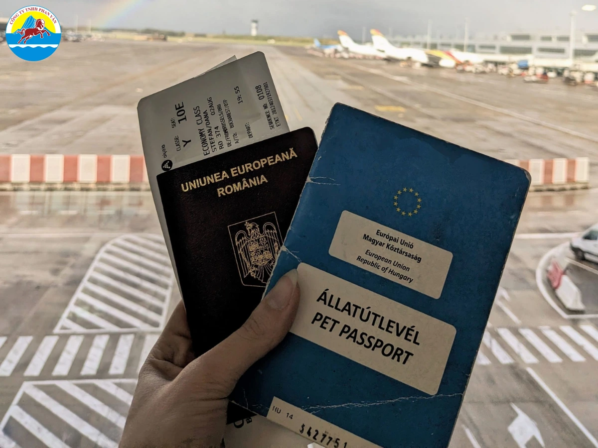 visa du lịch Romania