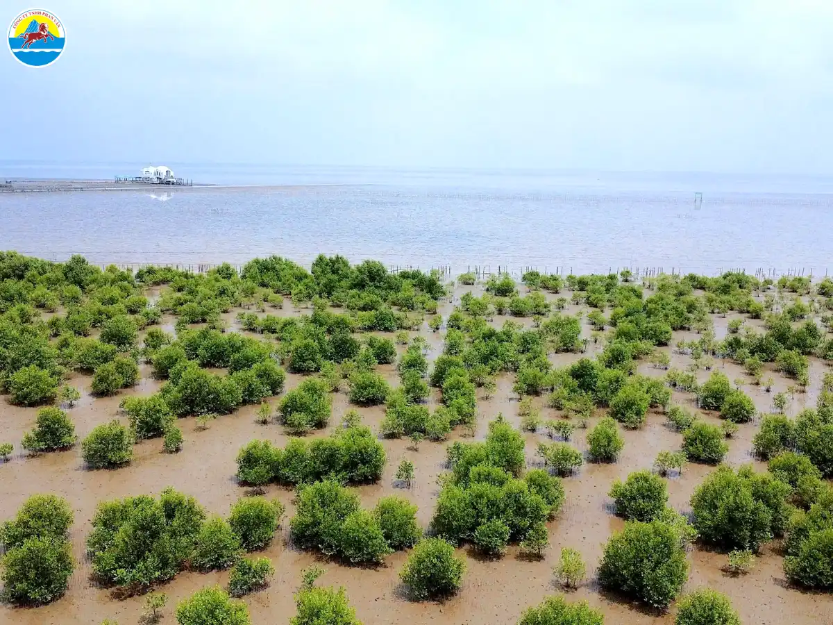 du lịch rừng ngập mặn cà mau