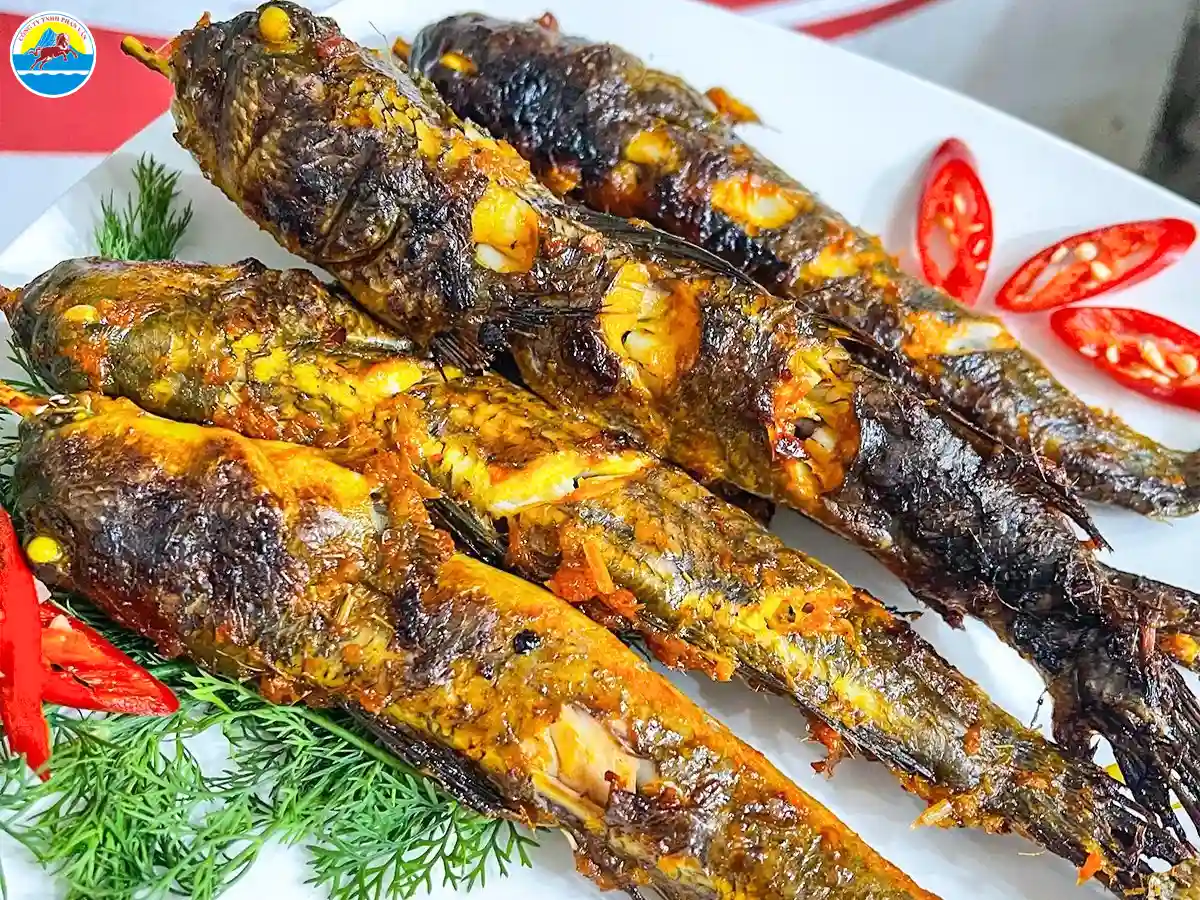 du lịch rừng ngập mặn cà mau