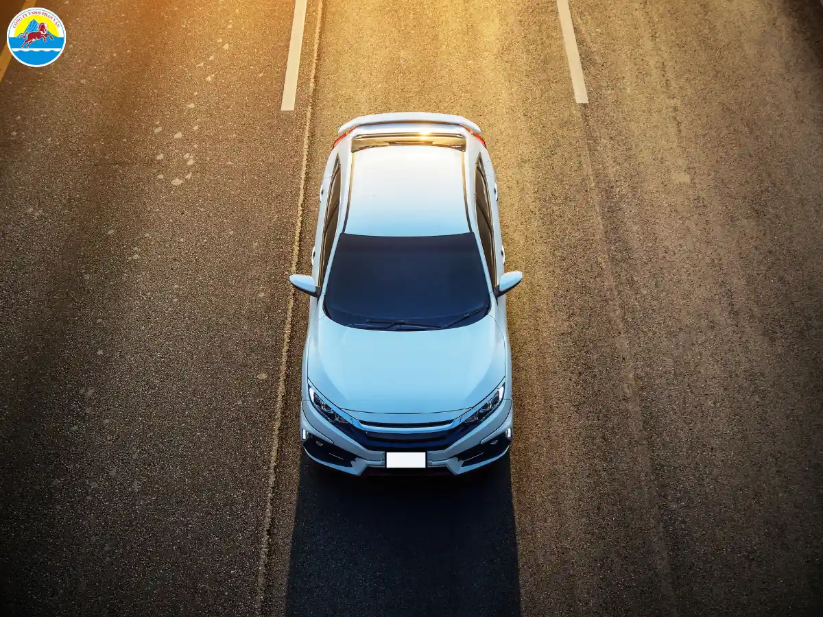 du lịch rừng ngập mặn cà mau