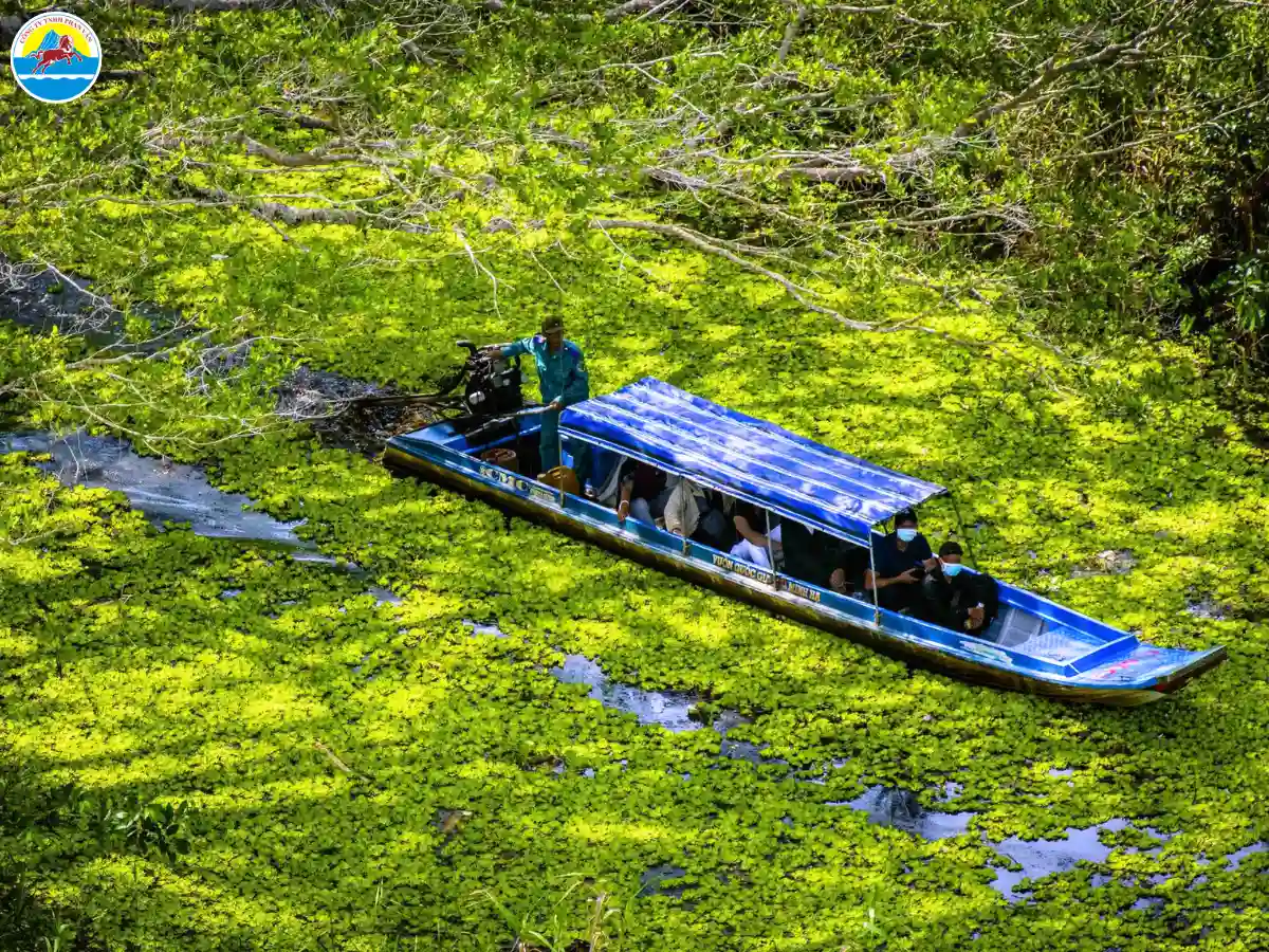 du lịch rừng ngập mặn cà mau
