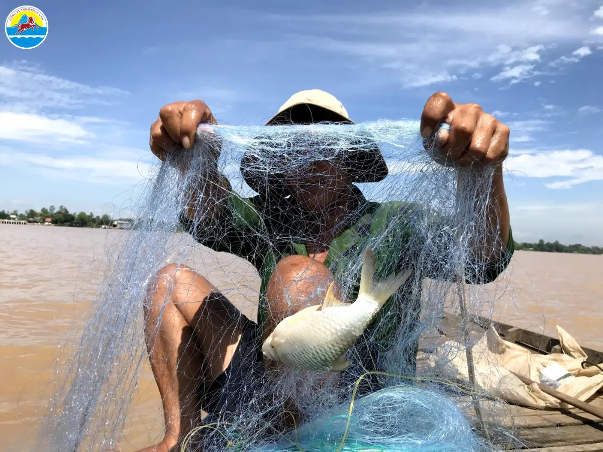 du lịch rừng ngập mặn cà mau