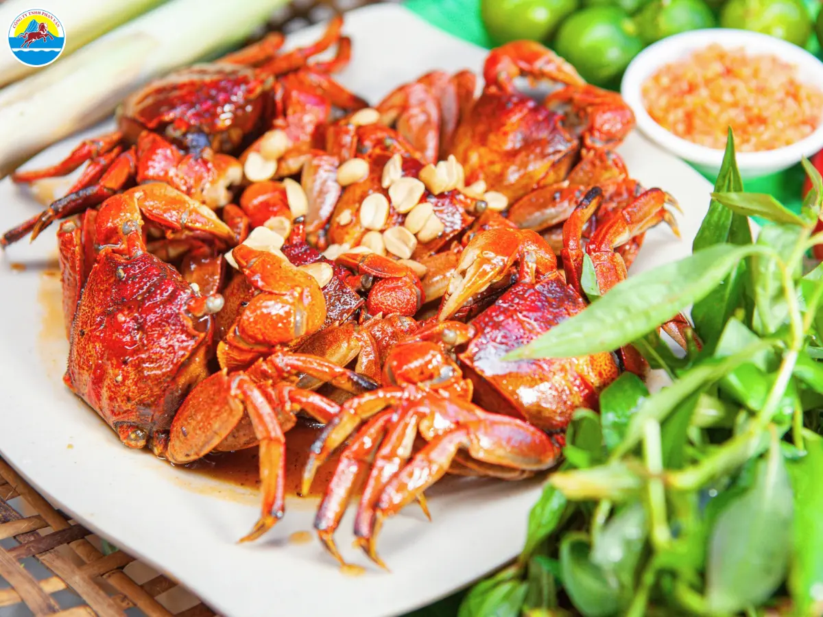 du lịch rừng ngập mặn cà mau