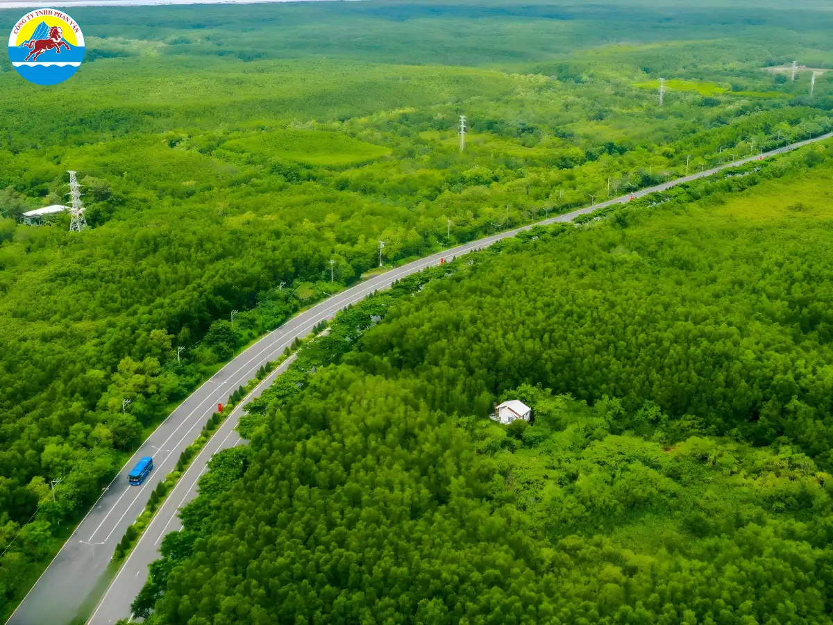 du lịch Rừng Sác Cần Giờ​