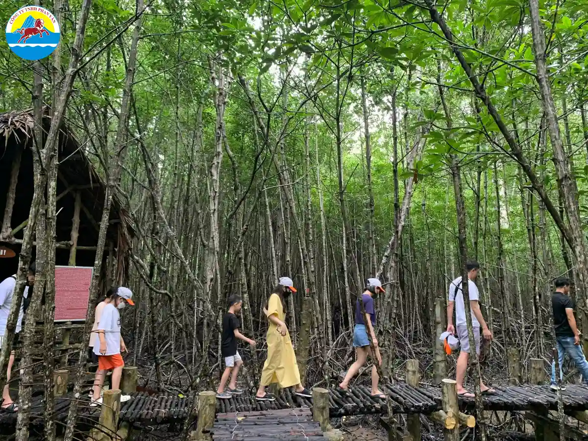 du lịch Rừng Sác Cần Giờ​