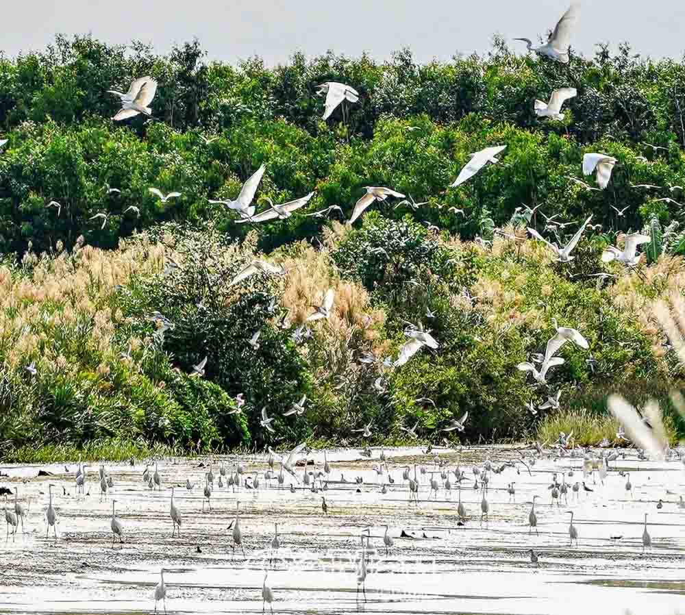 Khám Phá Khu Dự Trữ Sinh Quyển U Minh Hạ