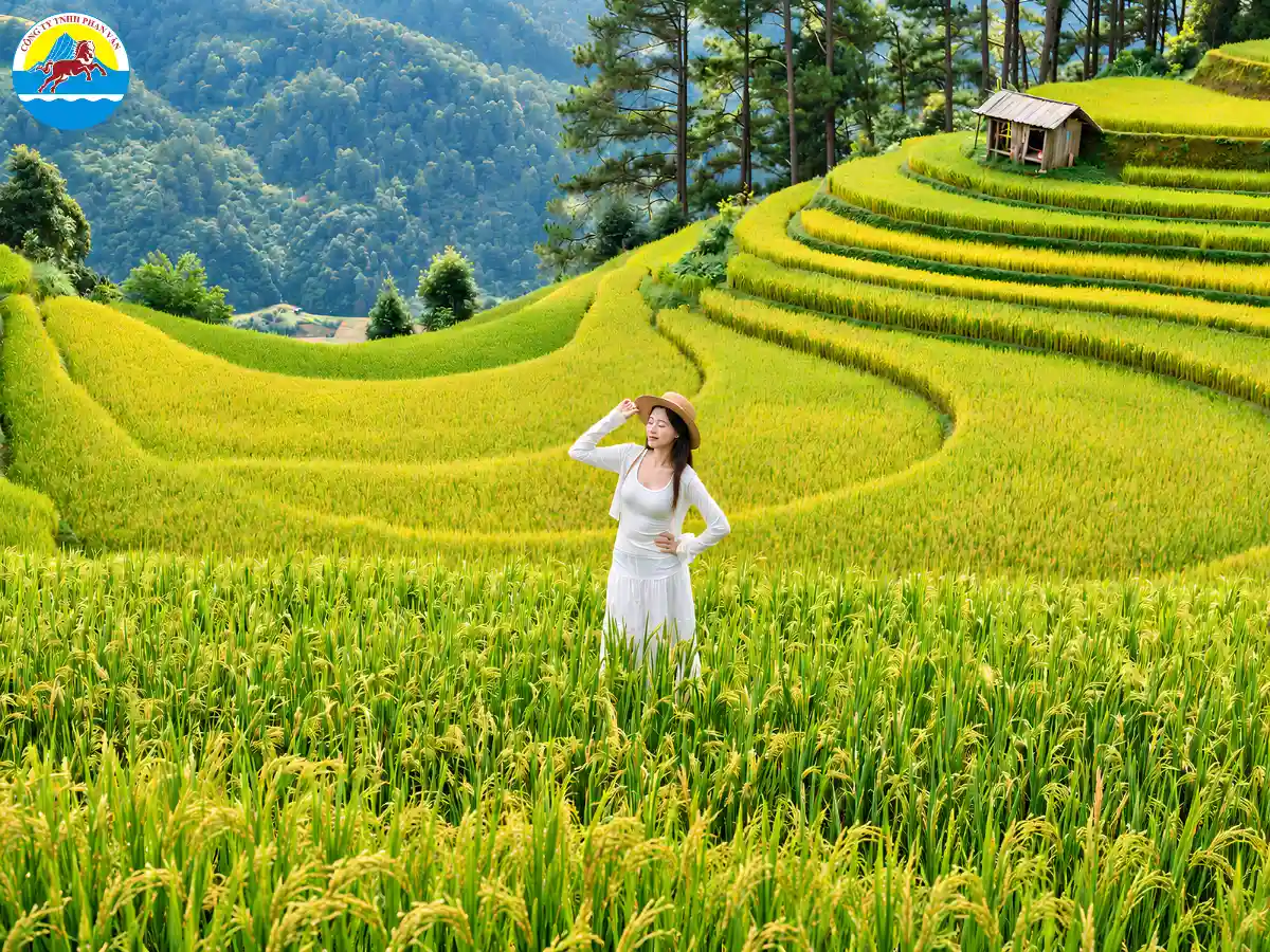Khám phá bản Lao Chải