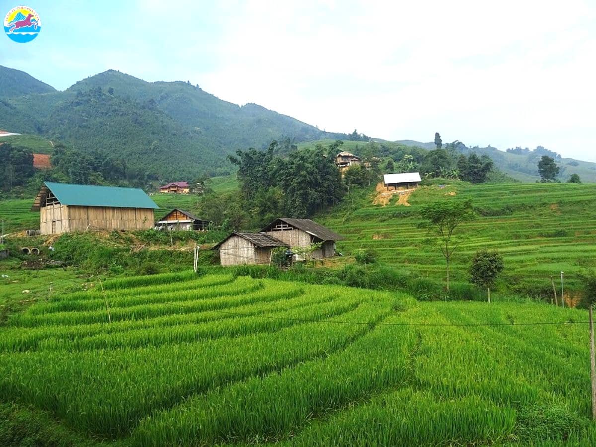 kinh nghiệm du lịch sapa tháng 10