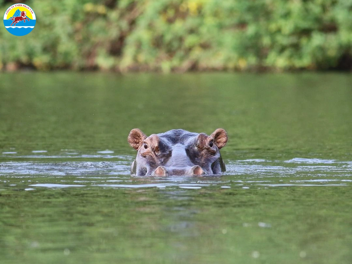 Công viên quốc gia Outamba-Kilimi