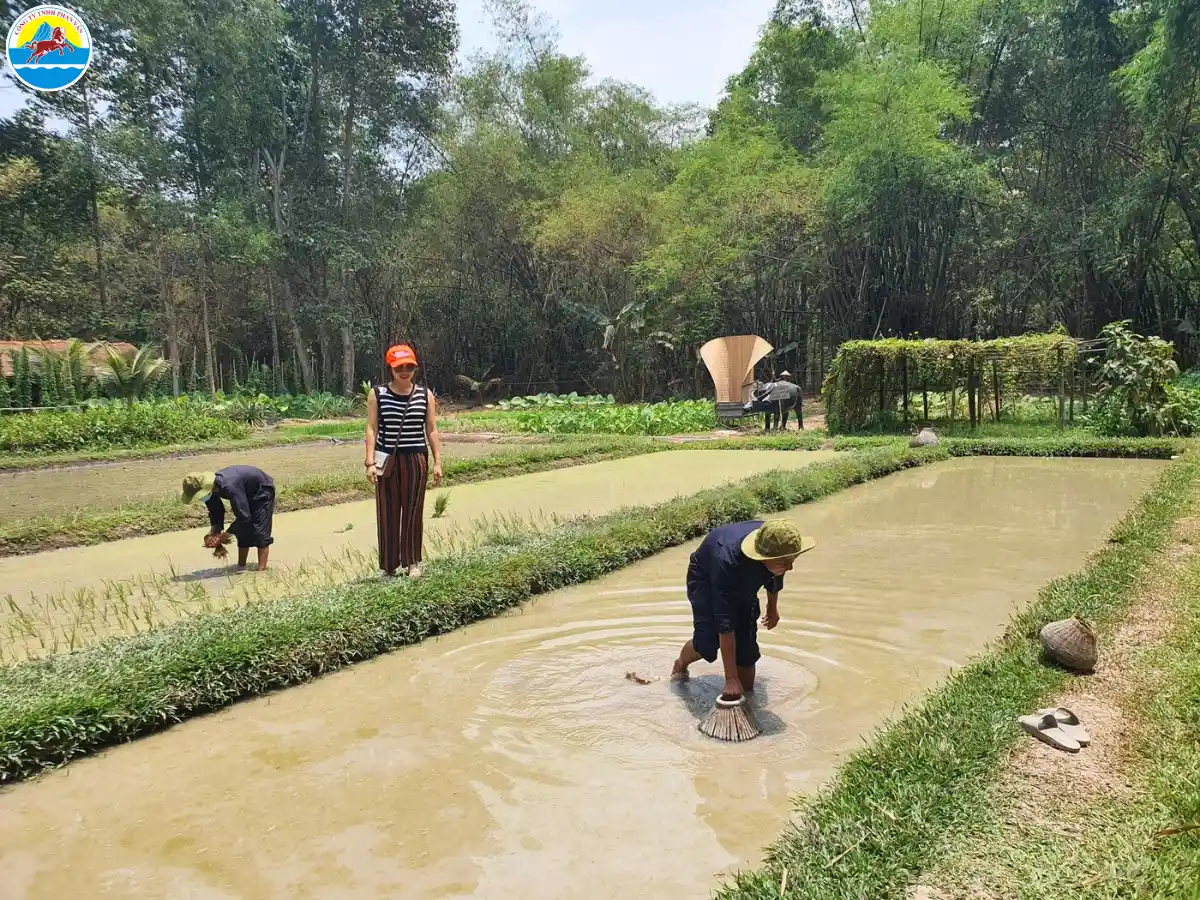 du lịch sinh thái củ chi​