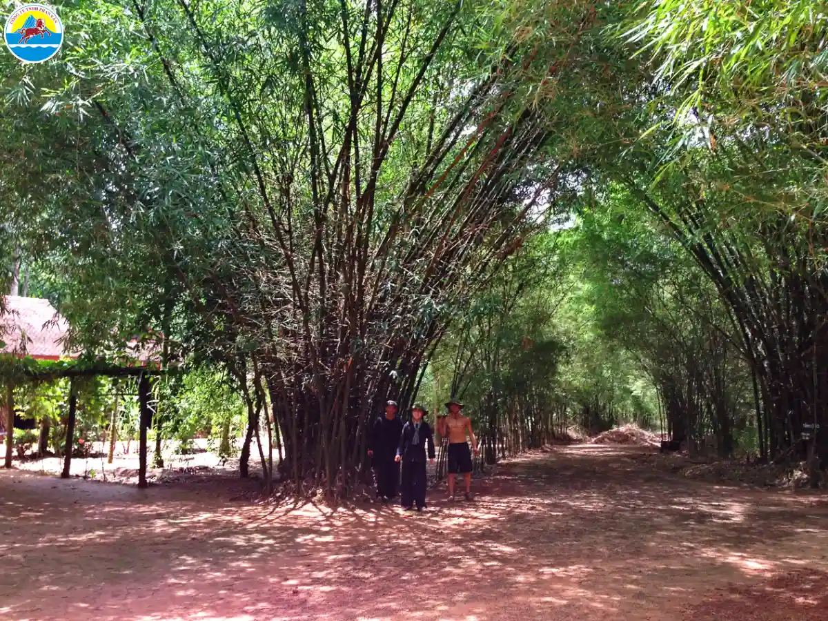 du lịch sinh thái củ chi​