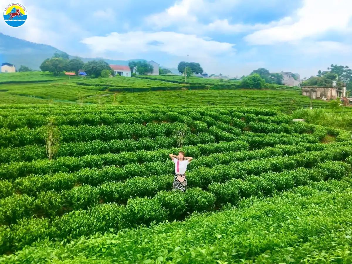 du lịch sinh thái quảng nam​