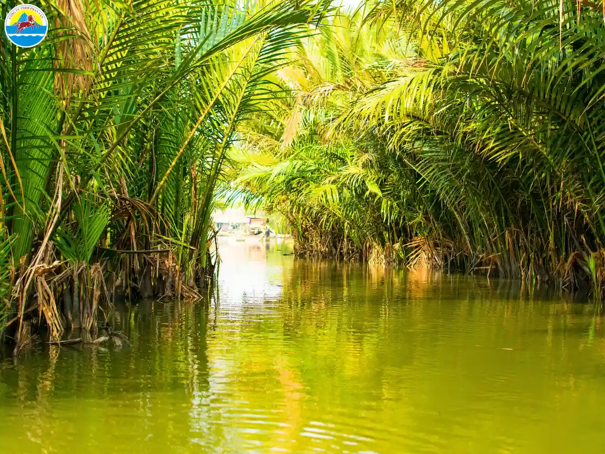du lịch sinh thái quảng nam​