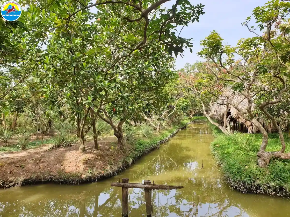 du lịch miệt vườn vĩnh long