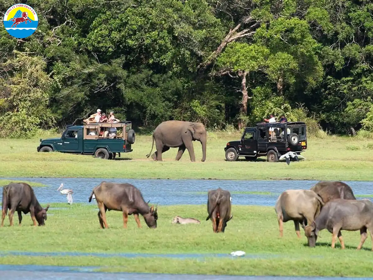 Vườn Quốc gia Yala