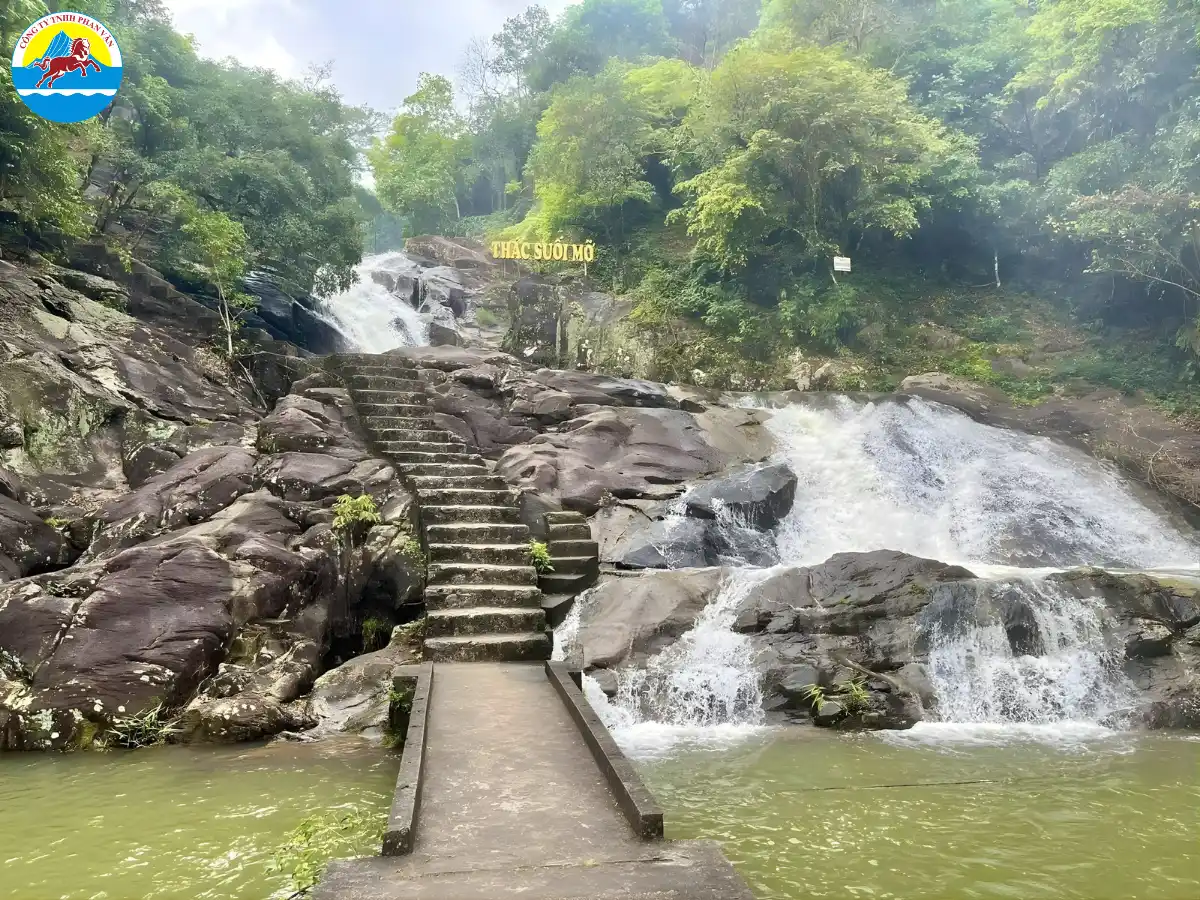 Đá xếp và rừng thông