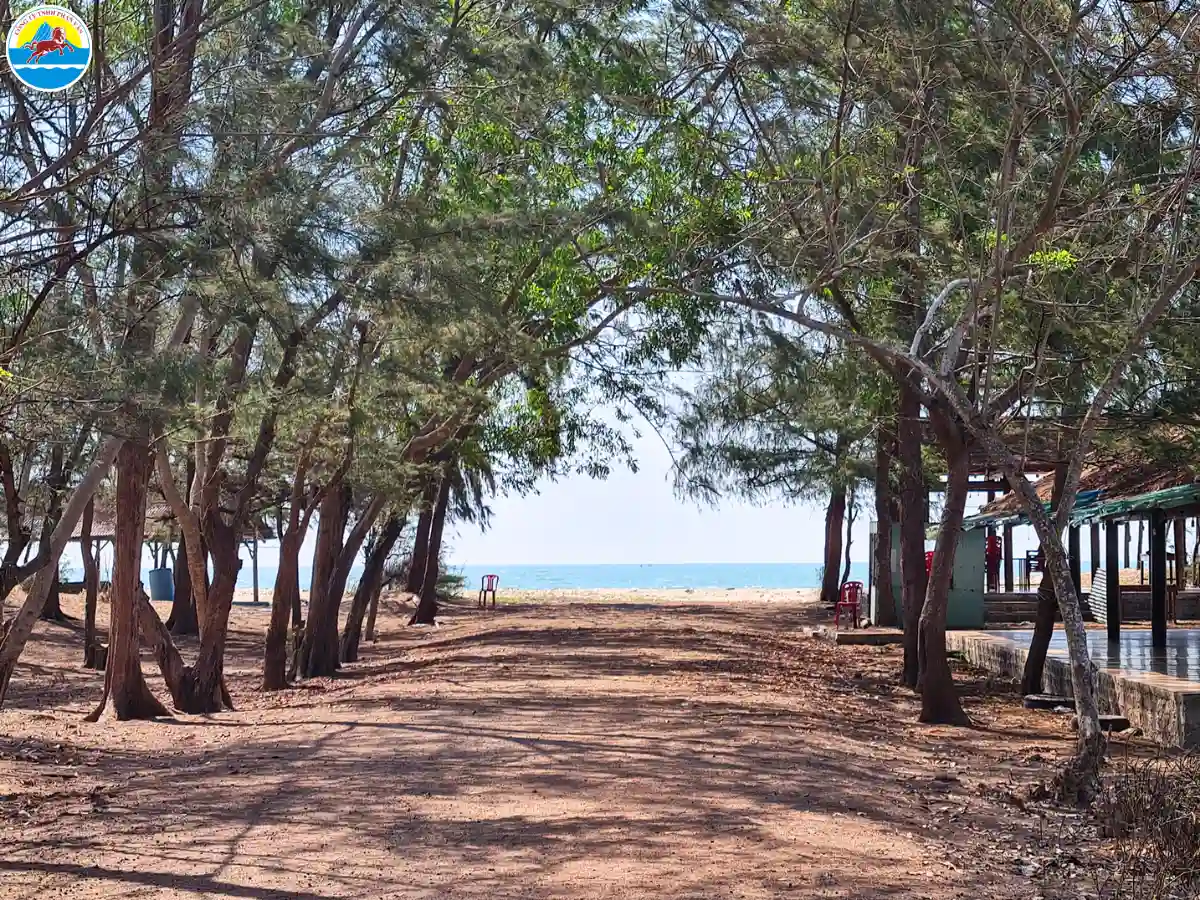 suối ồ vũng tàu