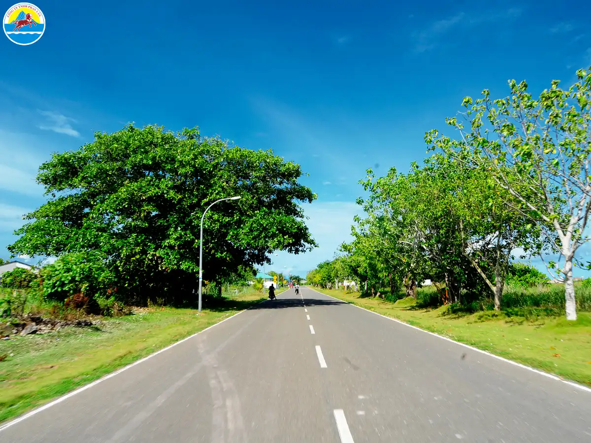 biển suối ồ vũng tàu​