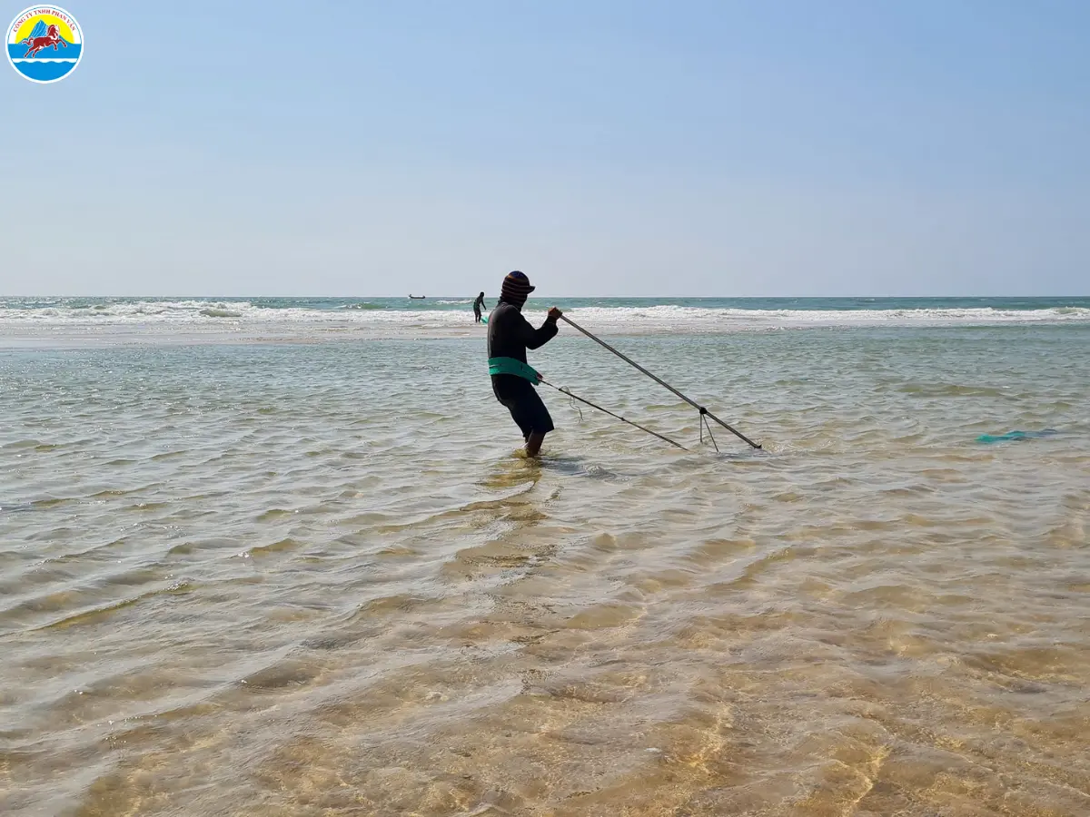 biển suối ồ vũng tàu​