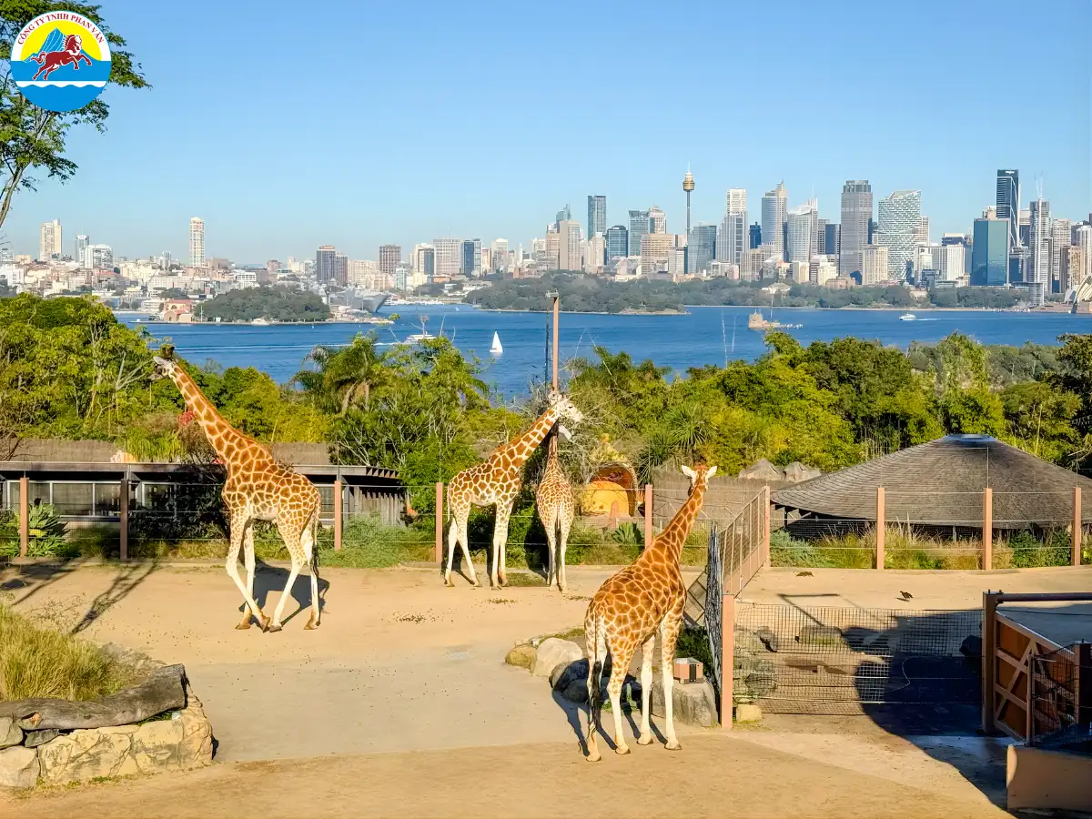 du lịch Sydney