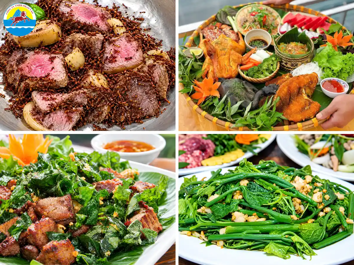 du lịch Tam Đảo tháng 11