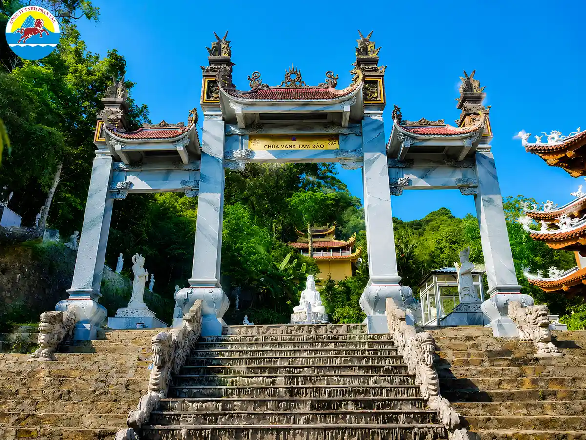 du lịch Tam Đảo Vĩnh Phúc