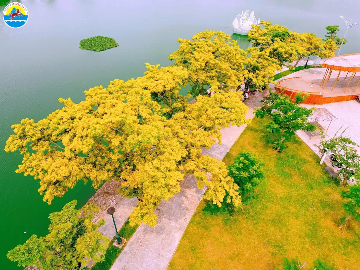 cẩm nang du lịch tam kỳ