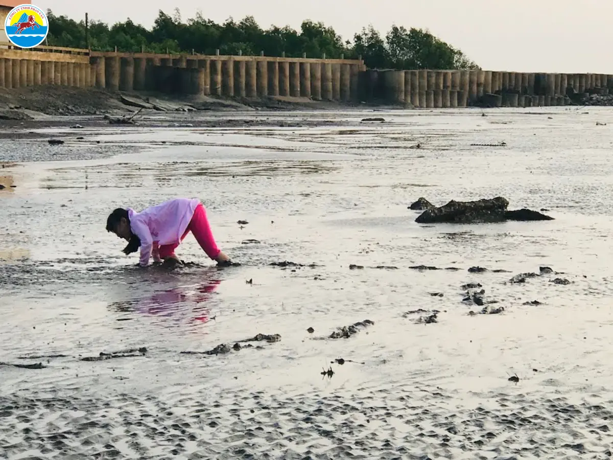 du lịch tân phú đông​