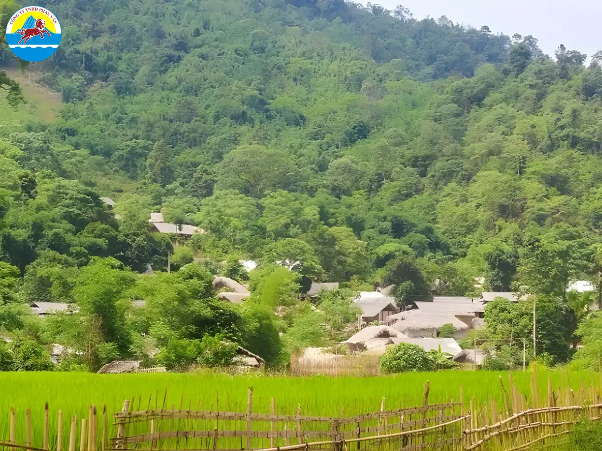 Bản Cỏi