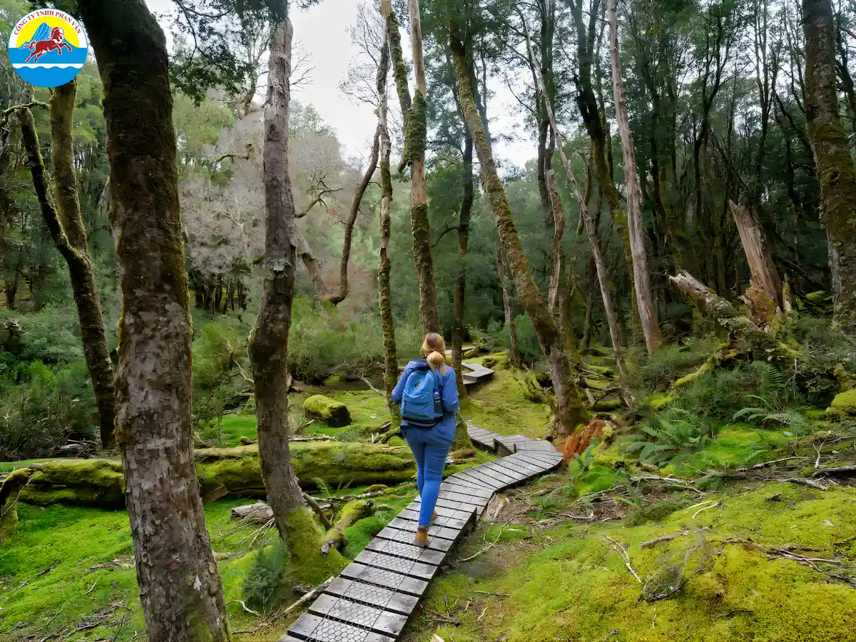 Vườn quốc gia Cradle Mountain