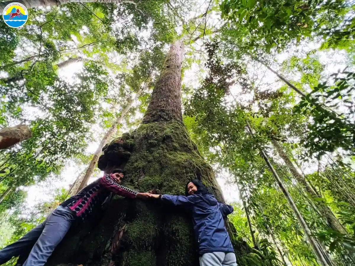 tây giang quảng nam có gì