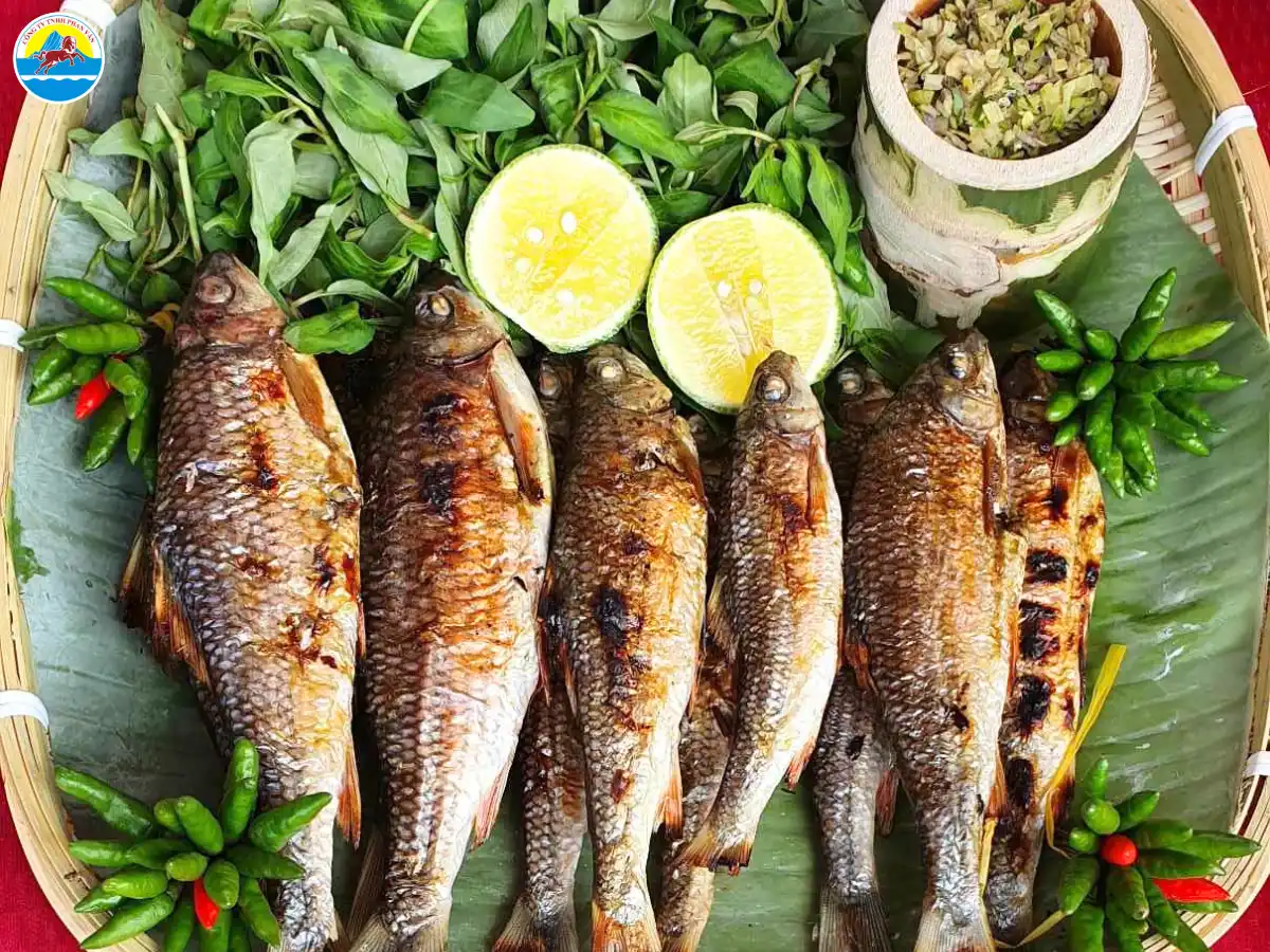 du lịch tây trà quảng ngãi​