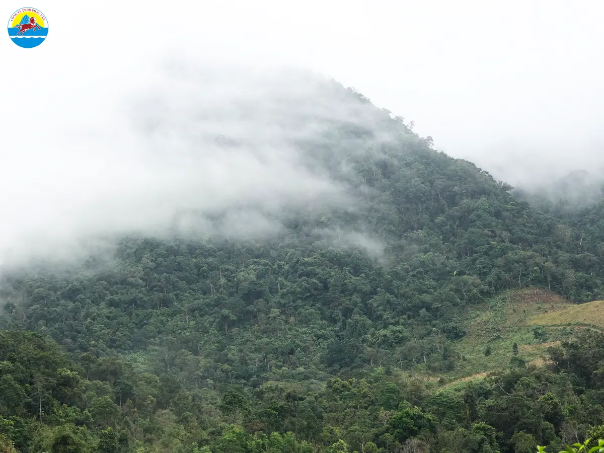 du lịch tây trà quảng ngãi