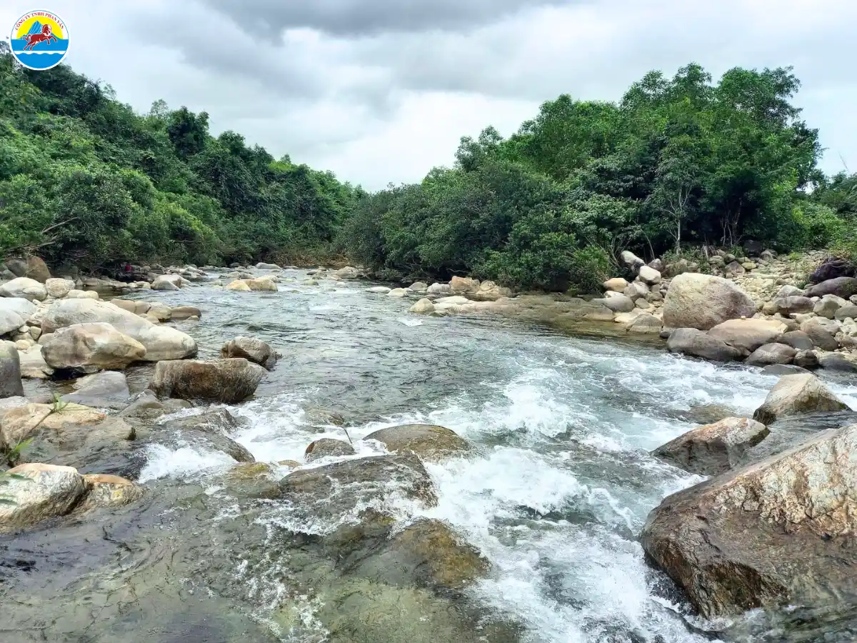 du lịch tây trà quảng ngãi​