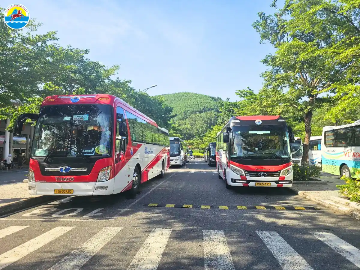 du lịch tây trà quảng ngãi​