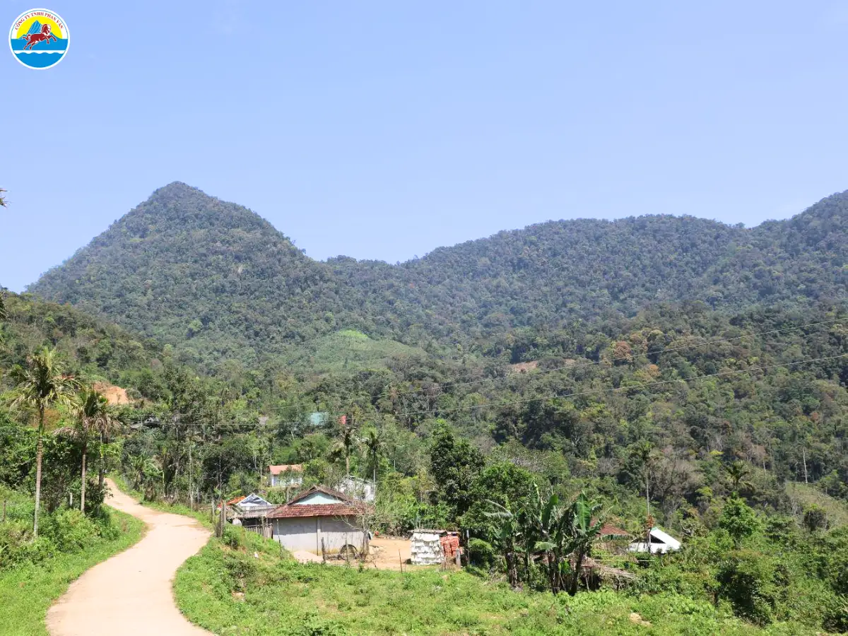 du lịch tây trà quảng ngãi