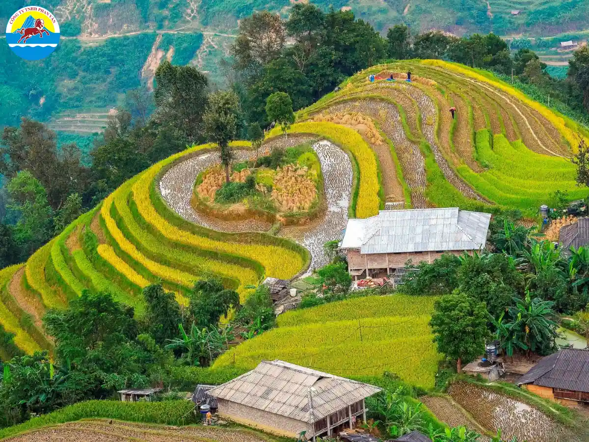 Hành trình du xuân Hà Giang trở nên trọn vẹn khi đồng hành cùng Phan Văn Travel